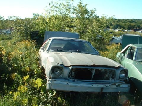 1978 Ford Mustang II - Derelict white Mustang II sitting in tall weeds in an overgrown junkyard, shot from the front with its grille, hood latch panel and headlig…