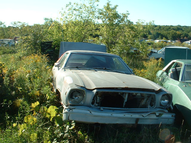Stripped white Mustang II rotting in weeds at a junkyard, missing grille and bumper trim