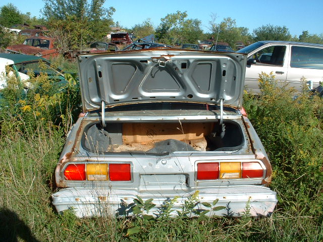 Silver sedan's open trunk and rear, overgrown with weeds. Rust visible on body