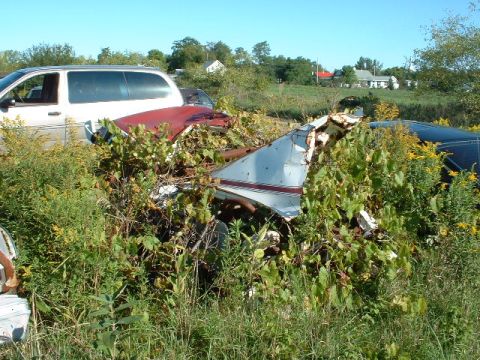 1978 Ford Mustang II - Junked vehicle parts are consumed by weeds and foliage, with a white van partially visible in the background.
