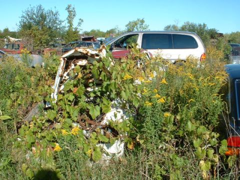 1978 Ford Mustang II - Junkyard scene with overgrown vegetation obscuring several vehicles, including a white minivan and parts of other cars.