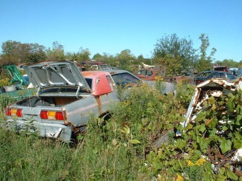 1978 Ford Mustang II - This car sits in a junkyard, surrounded by weeds and other vehicles under a clear blue sky.