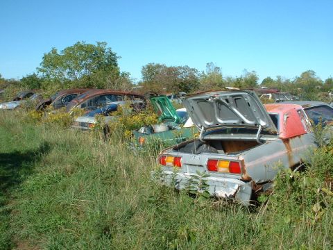1978 Ford Mustang II - Multiple abandoned vehicles are visible in a grassy junkyard under a clear blue sky.