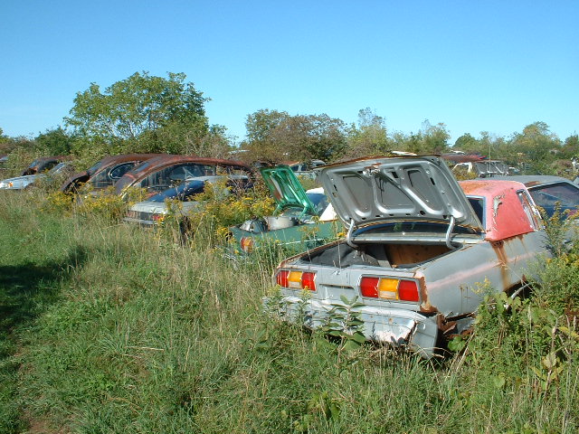 Junkyard scene with several old cars overgrown with weeds. A silver car with its trunk open is in the foreground