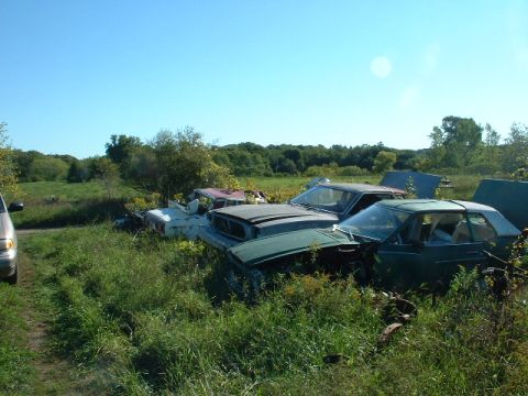 1978 Ford Mustang II - A collection of abandoned vehicles sits in a grassy field under a clear blue sky.