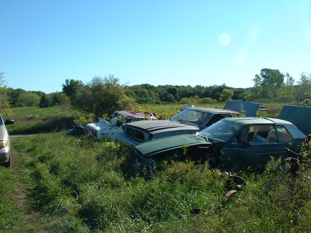 Junkyard scene with several old cars overgrown with grass