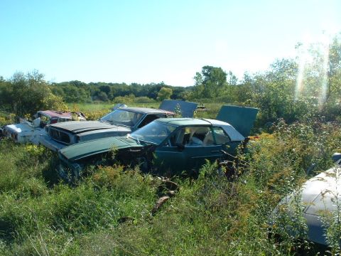 1978 Ford Mustang II - Junkyard scene with multiple abandoned vehicles under a clear blue sky.