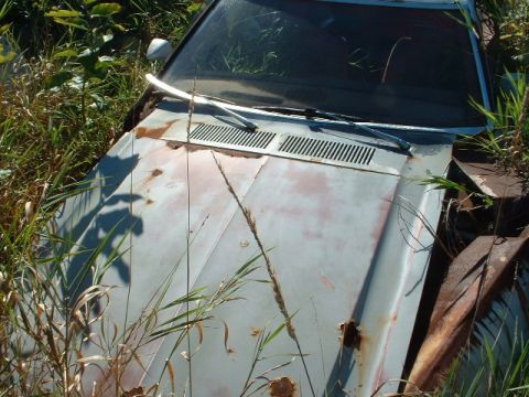 1978 Ford Mustang II - This 1978 Ford Mustang II is in a state of disrepair, with significant rust and vegetation encroaching on the vehicle.