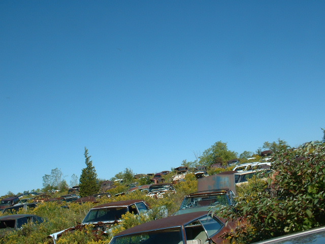 junkyard scene with many old cars overgrown with weeds under a clear blue sky. Supermotors.net logo visible