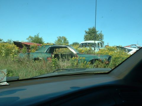 1978 Ford Mustang II - A weathered green coupe sits abandoned in a field of tall grass, partially obscured by other vehicles.