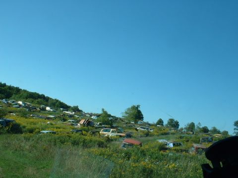 1978 Ford Mustang II - A vast junkyard filled with decaying vehicles sits on a sun-drenched hill beneath a bright blue sky.