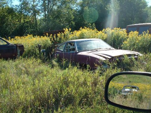 1978 Ford Mustang II - Junkyard scene with a 1978 Ford Mustang II partially obscured by weeds and tall grass.