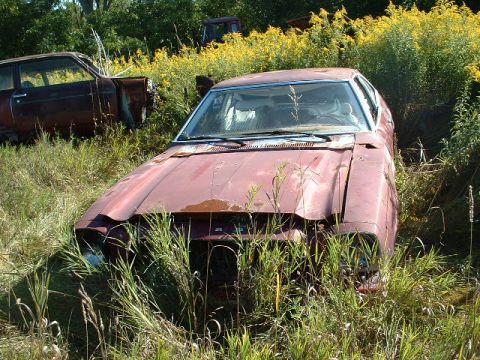 1978 Ford Mustang II - An old sedan sits abandoned in a field, partially hidden by tall grass and weeds.