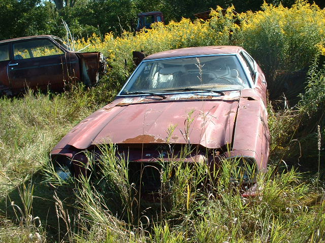 old red sedan overgrown with weeds, another car in background