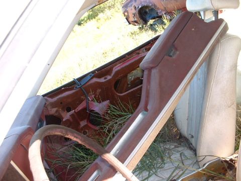1978 Ford Mustang II - Interior view of a neglected car, with a second vehicle visible in the background.
