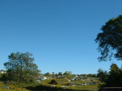 1978 Ford Mustang II - A vast junkyard filled with numerous vehicles stretches under a clear blue sky, with trees framing the scene.