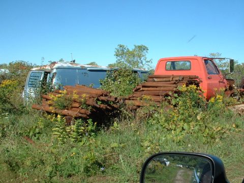 1978 Ford Mustang II - Two weathered vehicles sit abandoned in a field, overgrown with vegetation and logs.