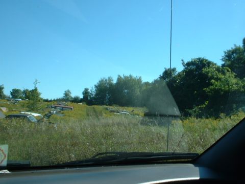 1978 Ford Mustang II - A collection of abandoned vehicles sits in a grassy field, viewed from inside another car.