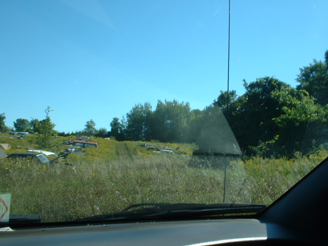 Junkyard scene with several old cars in tall grass under a clear blue sky