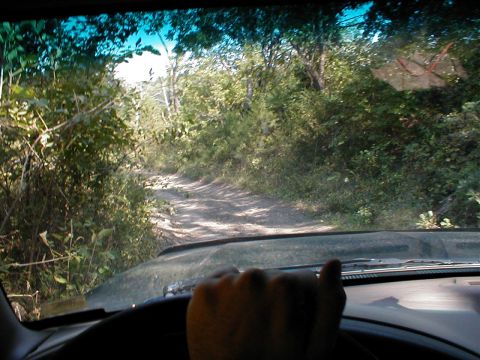 1994 Ford Bronco - Driving on a rough dirt road through a wooded area.