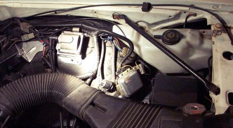 1985 Ford LTD Crown Victoria - Close-up view of the engine compartment, showing various mechanical and electrical parts.