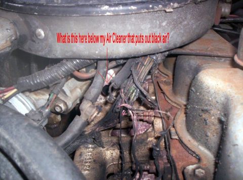 1986 Ford Bronco - What is this?