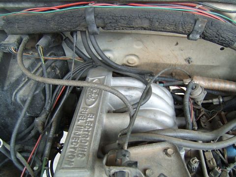 1988 Ford Bronco - This image shows a section of an engine bay, focusing on the fuel injection system and associated wiring.