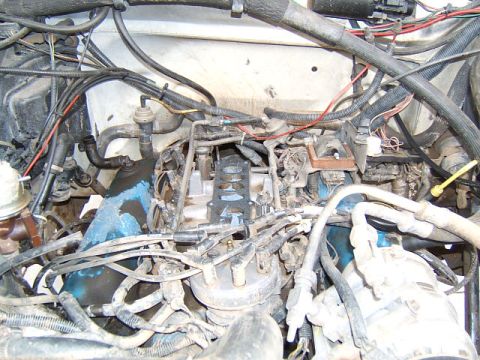 1988 Ford Bronco - Close-up of an engine bay, focusing on the distributor cap and associated wiring.