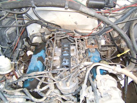 1988 Ford Bronco - A close-up view of a vehicle's engine bay, showing complex wiring and plumbing.