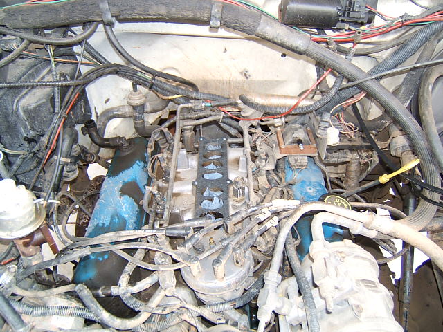 Engine bay with various hoses, wires, and engine parts visible. Blue valve covers are present