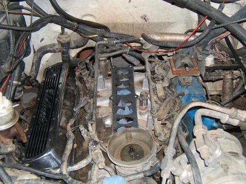 1988 Ford Bronco - Close-up of an engine bay with a chrome valve cover and intake manifold gasket visible.