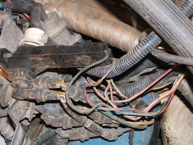 Close-up of a tangled engine wiring harness with black plastic connectors and various colored wires