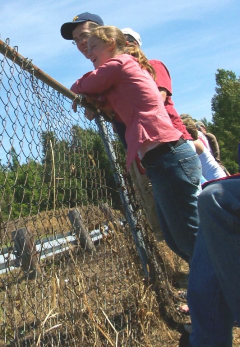 1979 Ford F-150 - Spectators gather behind a fence to observe an event, with a clear blue sky overhead.