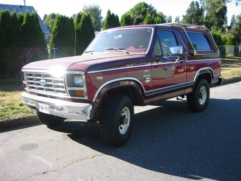 1982 Ford Bronco photo