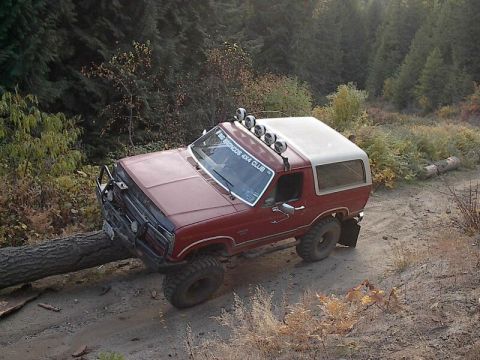 1986 Ford Bronco — Hey this log looks familiar.