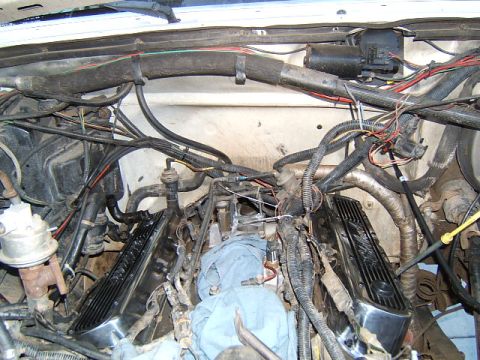 1988 Ford Bronco - Engine bay view of a 1988 Ford Bronco, focusing on the valve covers and associated wiring.