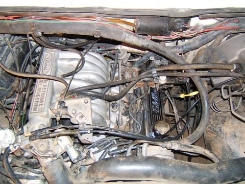 1988 Ford Bronco - Close-up view of a Ford engine bay, showing the intake manifold and valve covers.