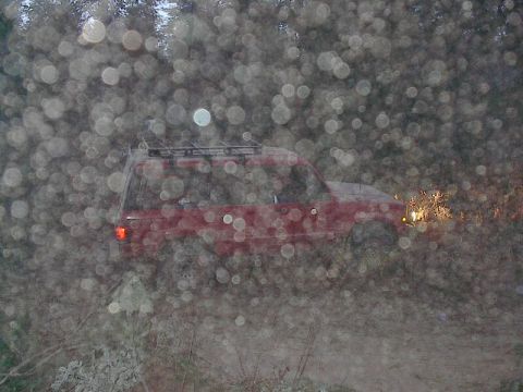 1986 Ford Bronco — Paige in the "snow"...