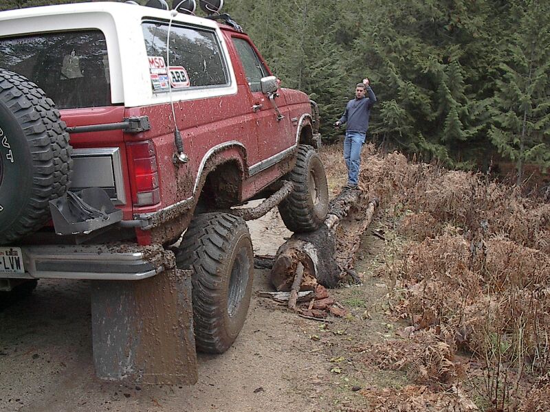That poor log...