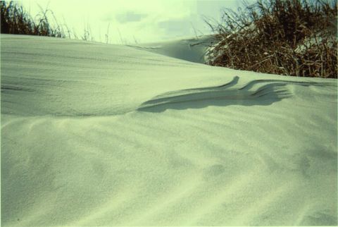 1989 Ford Bronco - Snow dunes with dry grass are visible under a cloudy sky, with a watermark at the bottom right.