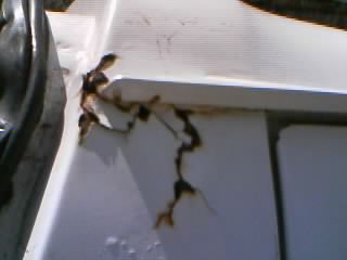 1986 Ford Bronco - typical corner cancer