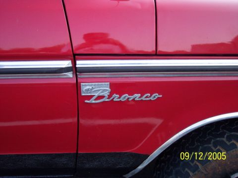 1979 Ford Bronco - had to keep the EB badges...too cool not to