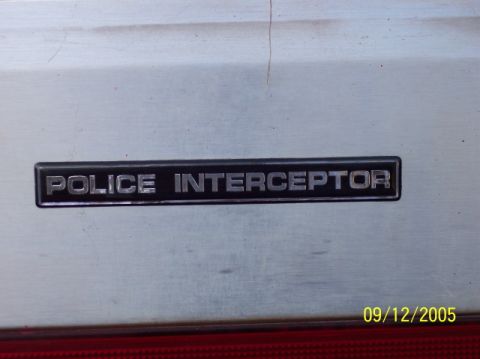 1979 Ford Bronco - uh....found it in the parkin lot.