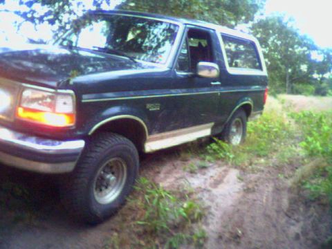 1993 Ford Bronco - in dennis stock wheelin...