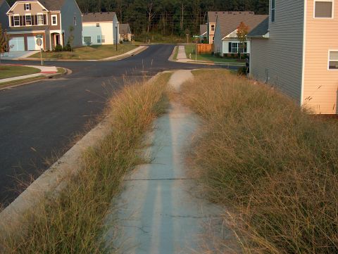 1998 Ford Taurus - A suburban street scene shows houses and a sidewalk bordered by tall, unkempt grass.