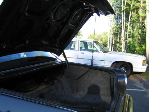 1991 Ford LTD Crown Victoria - open, carpeted car trunk in the foreground with a white four-door sedan parked nearby among trees.