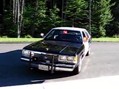 1991 Ford LTD Crown Victoria