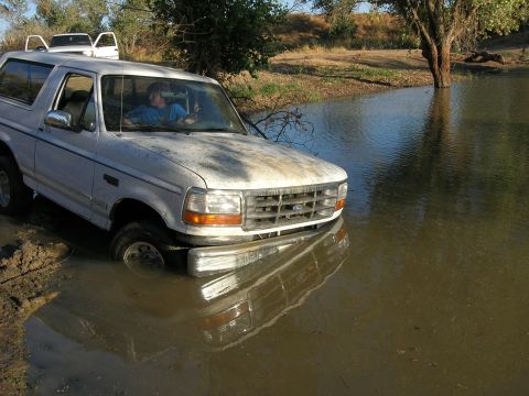 1994 Ford Bronco - White 1994 Ford Bronco partially submerged in water with another vehicle in the background.