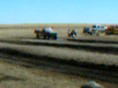 1980 Ford F-250 - my winning run in Conrad MT.