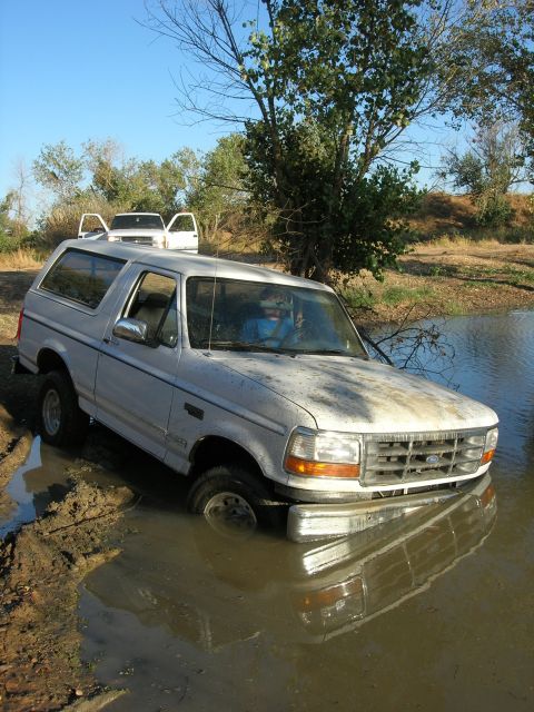 1994 Ford Bronco - A white 1994 Ford Bronco is stuck in muddy water, with another white truck visible in the background.